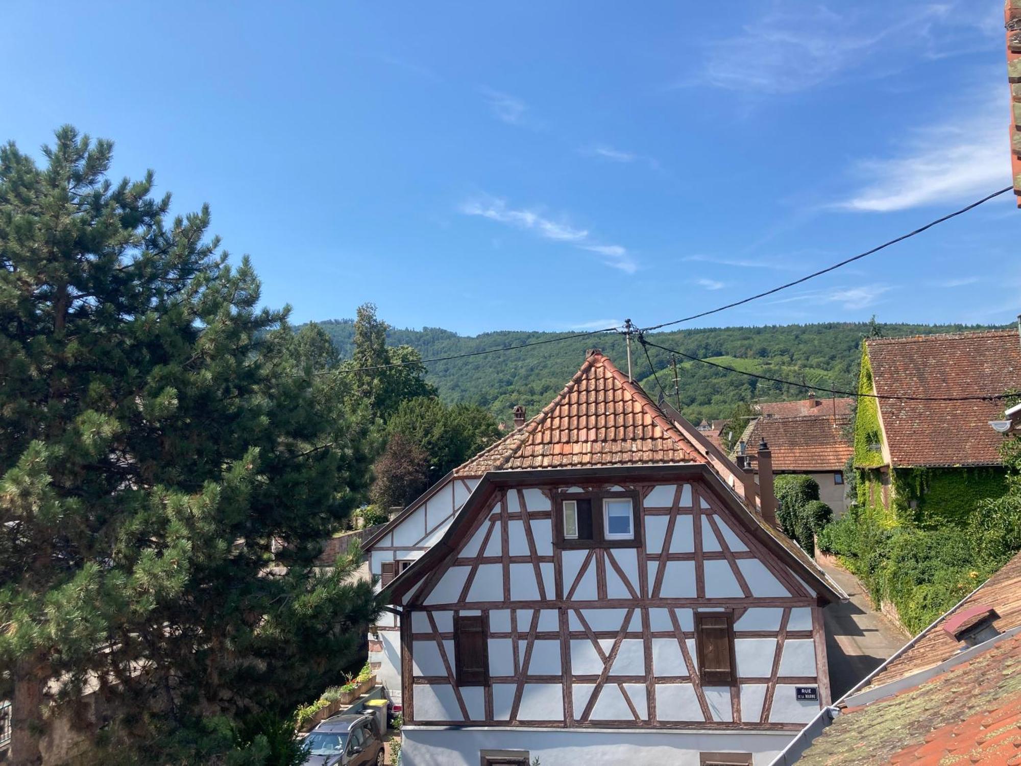 Hotel La Bonneterie Andlau-au-Val Exterior foto